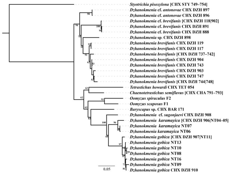 Figure 2
