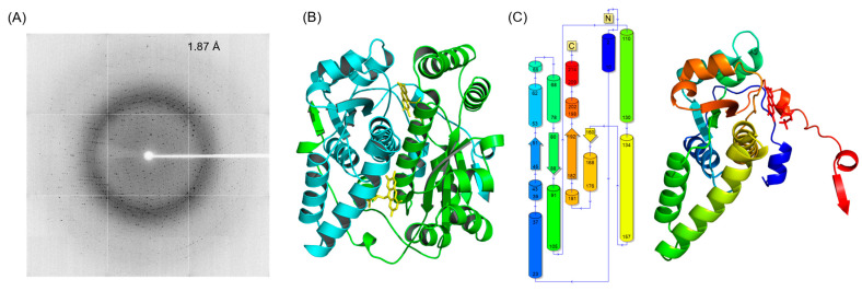 Figure 2