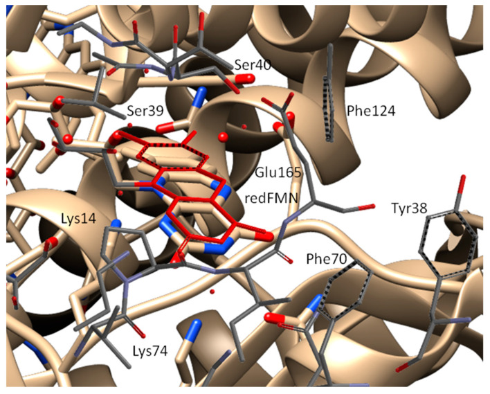 Figure 8