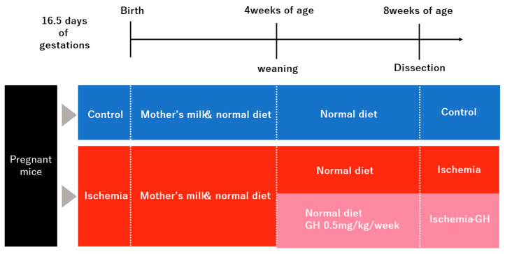 Figure 11