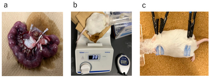 Figure 12
