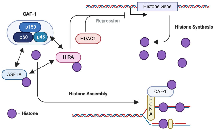 Figure 6