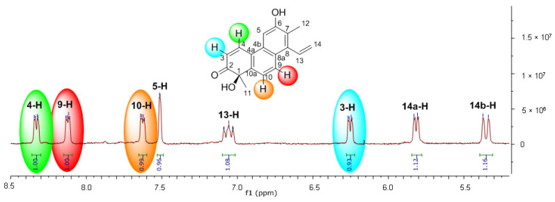 Figure 11