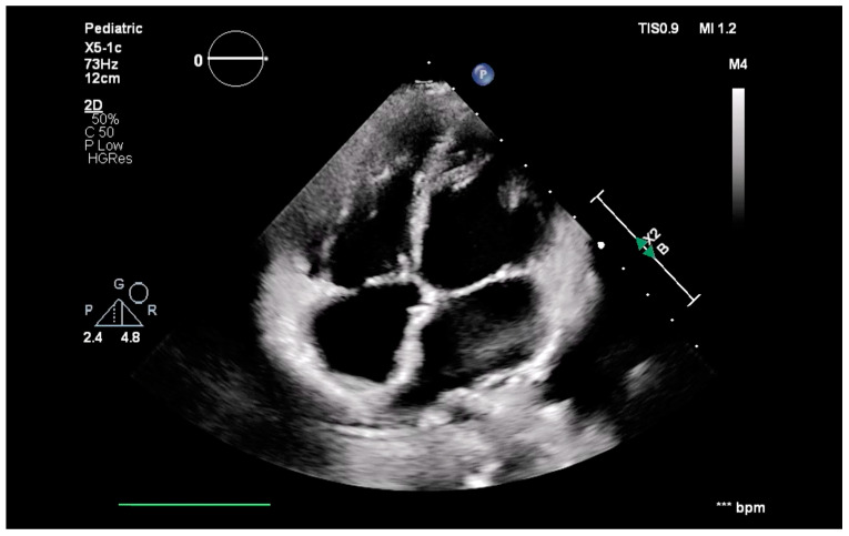 Figure 5