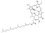 Figure 42