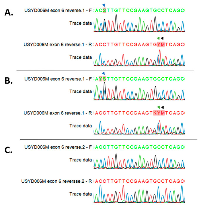 Figure 6