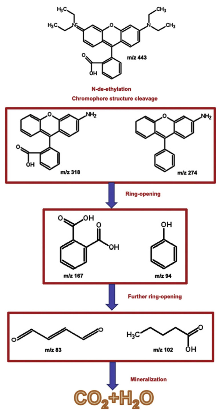 Figure 7
