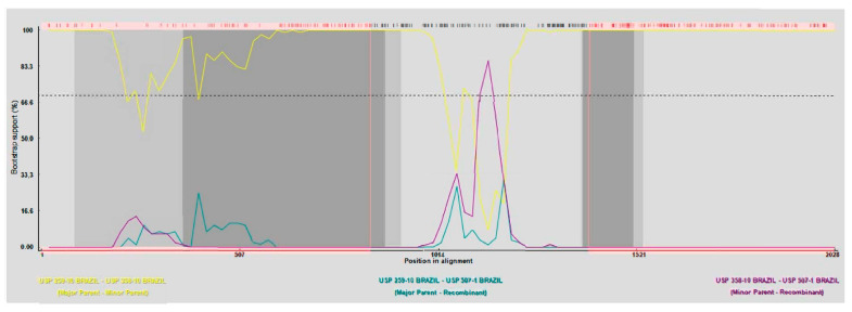 Figure 2