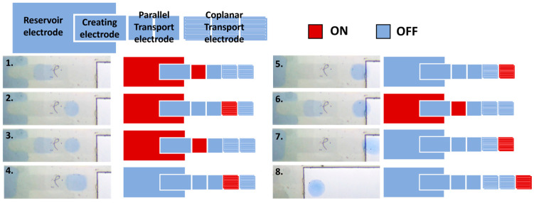 Figure 7