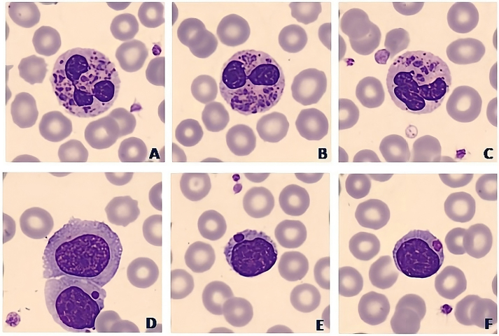 Figure 1