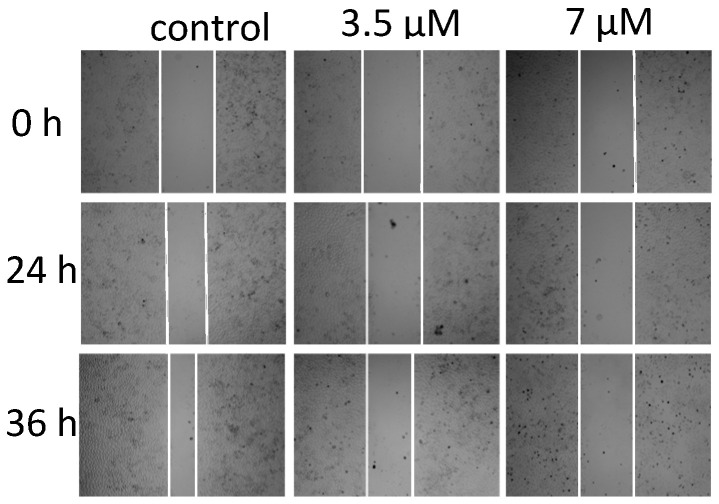 Figure 6