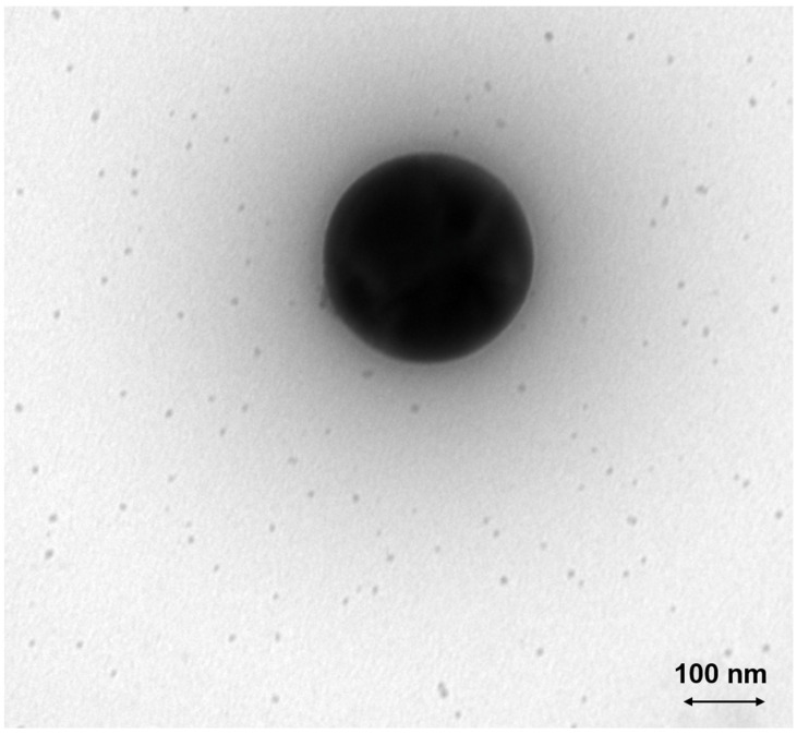 Figure 9
