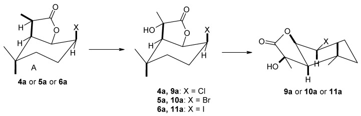 Figure 9