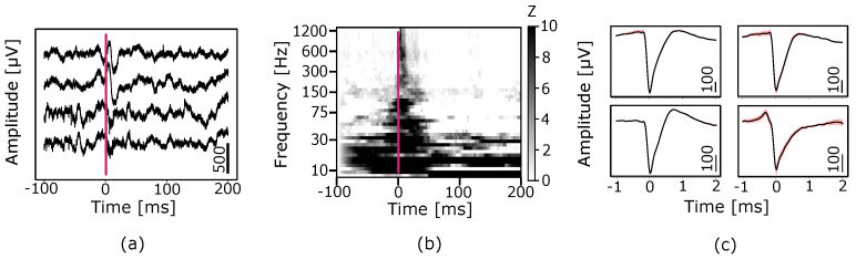 Figure 24