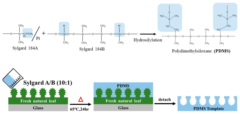 Figure 16