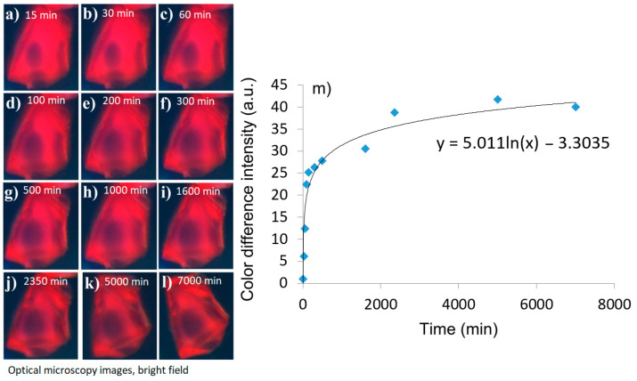 Figure 7
