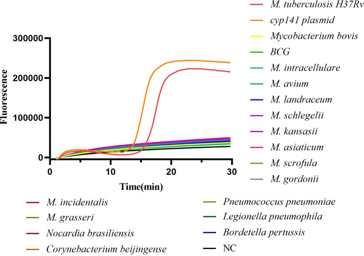 Figure 2