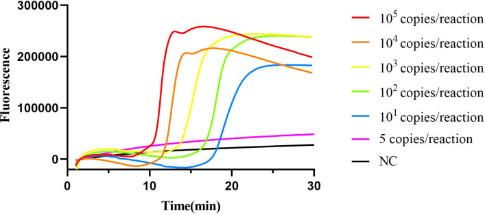 Figure 3