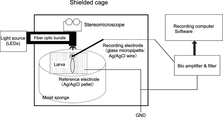 Figure 7