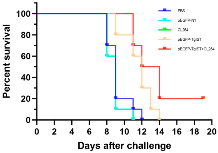 Figure 5