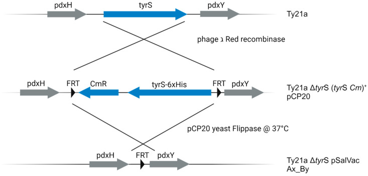 Figure 2