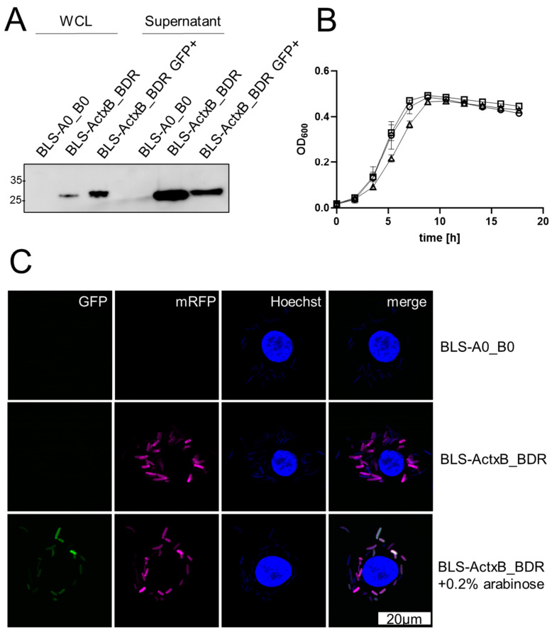 Figure 6