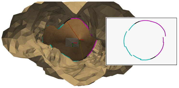 Figure 19