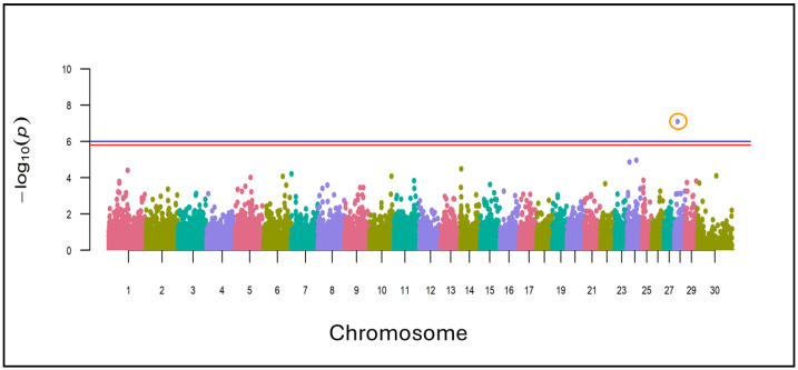 Figure 5