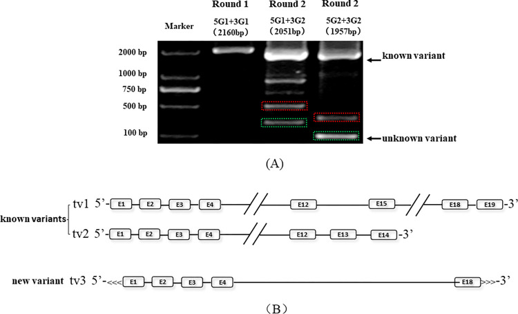 Fig 4