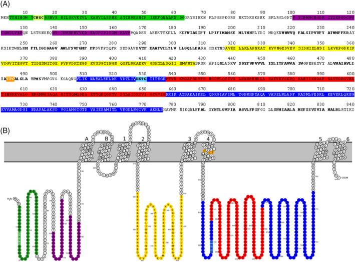 Figure 5