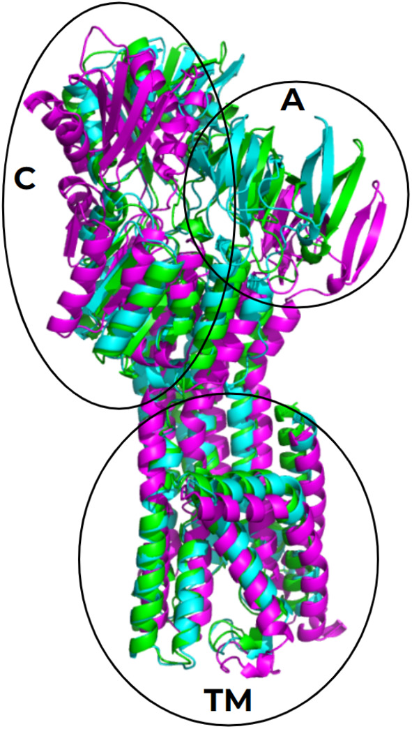 Figure 7