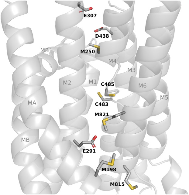 Figure 9