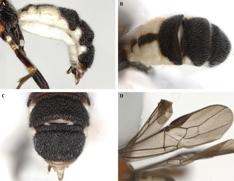Figure 18