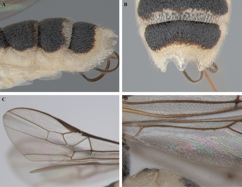 Figure 20