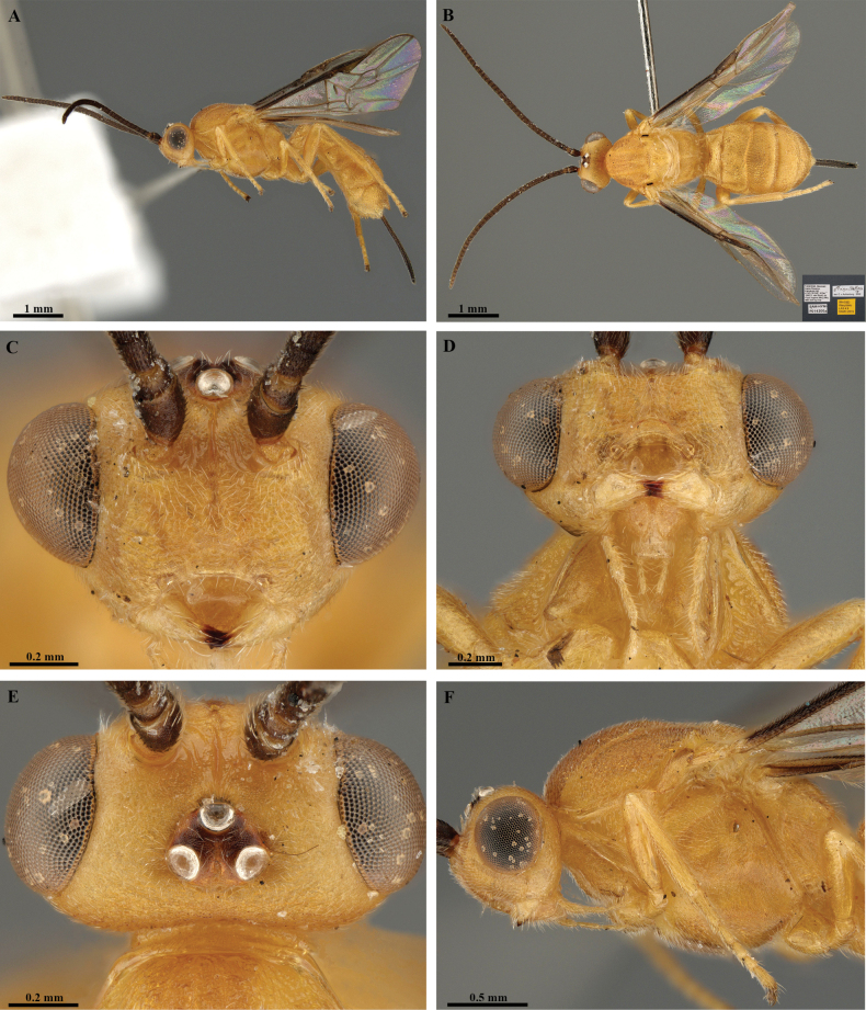 Figure 23