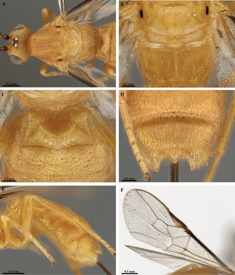 Figure 24