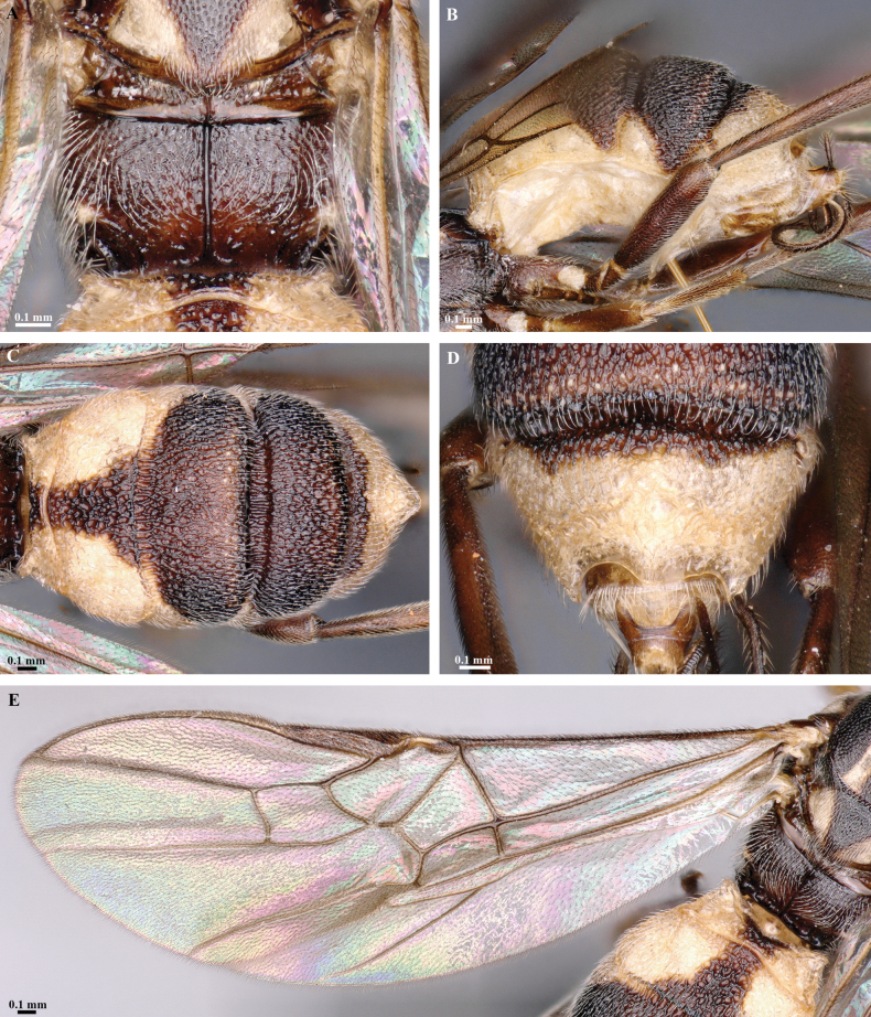 Figure 26