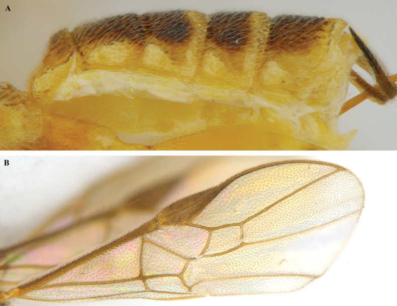 Figure 28