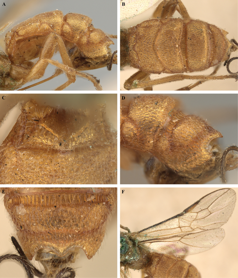 Figure 37