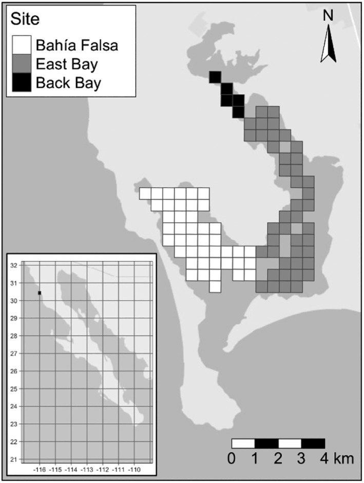 Figure 9