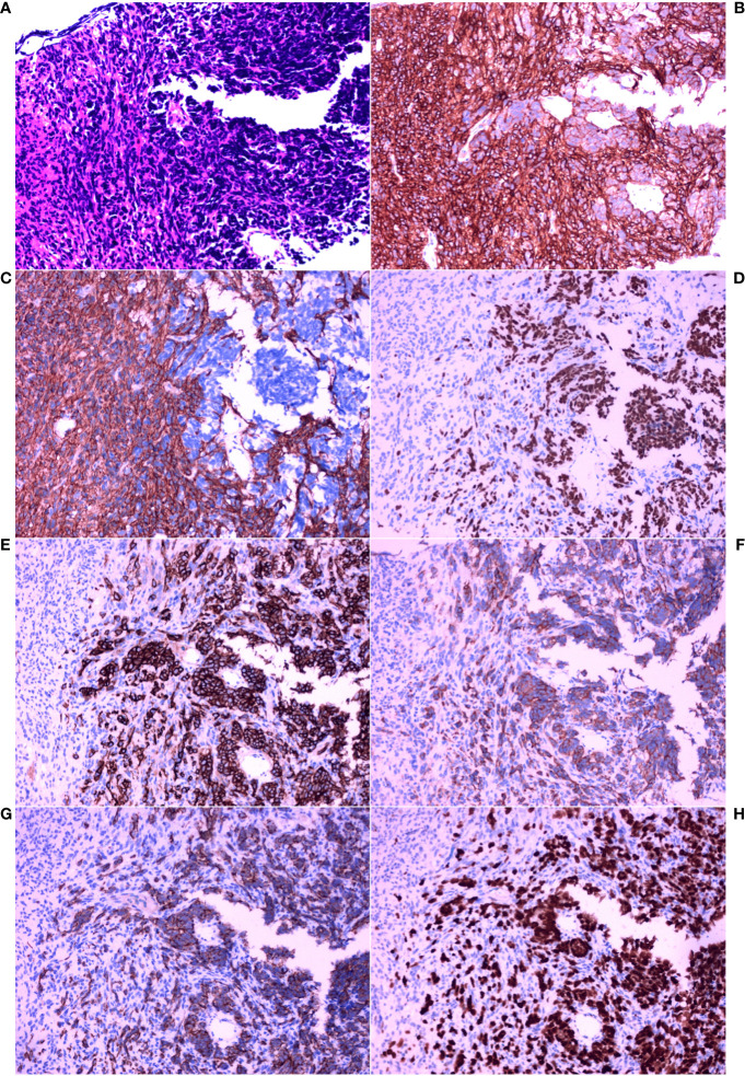 Figure 3