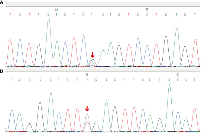 Figure 4