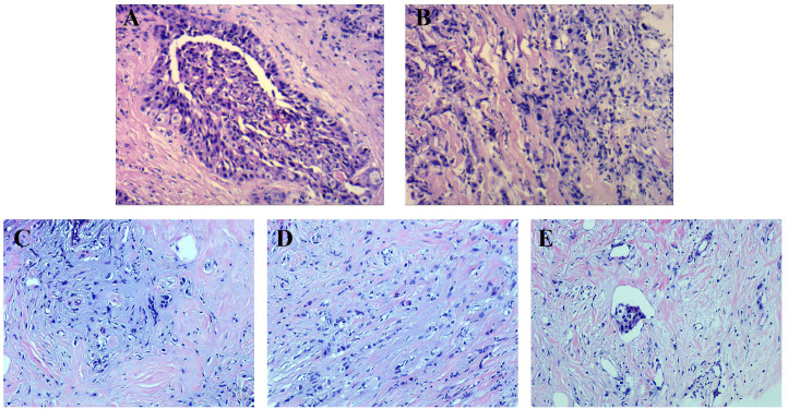Figure 2