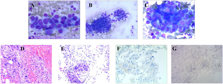 Figure 3