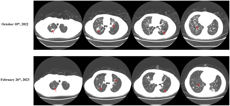 Figure 4