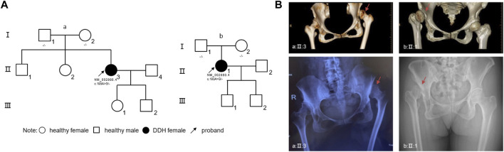 FIGURE 1