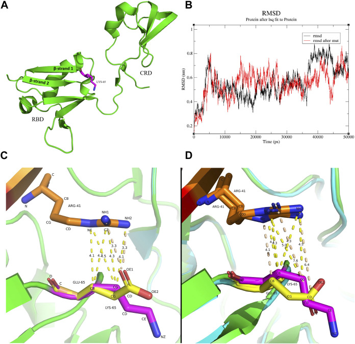 FIGURE 3