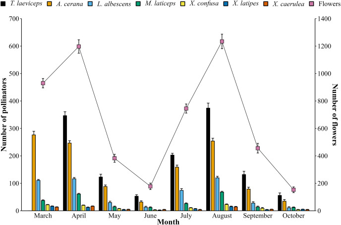 Figure 6