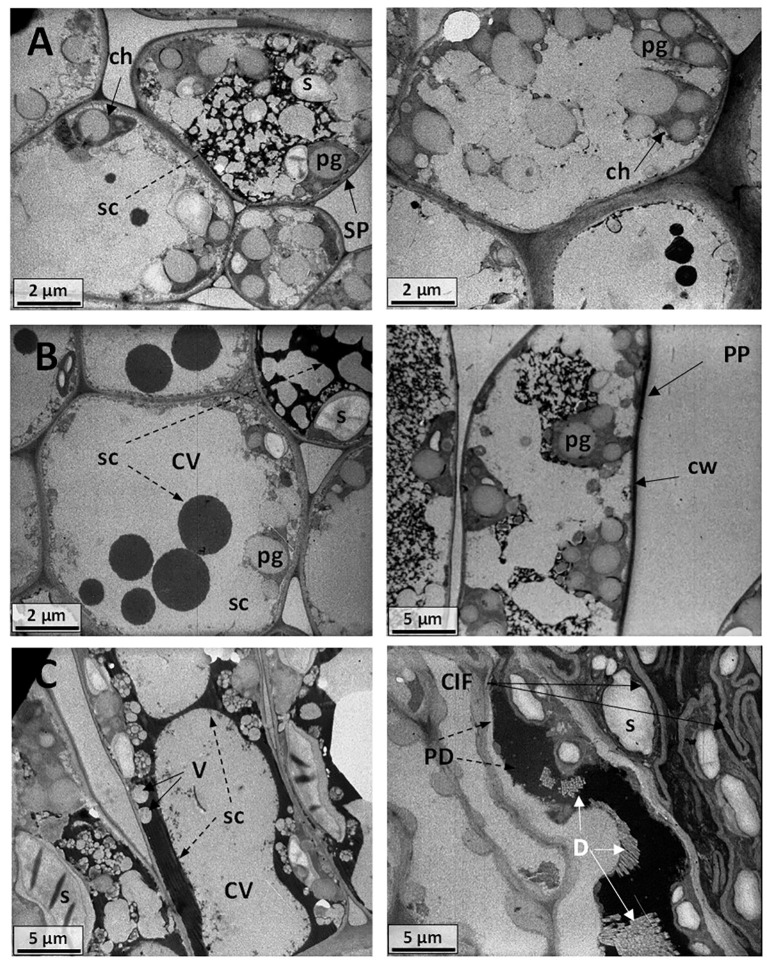 Figure 14