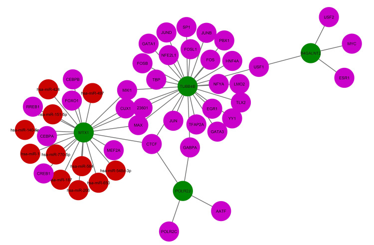 Figure 10